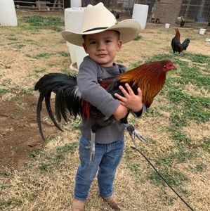 Meet your Posher, Luis